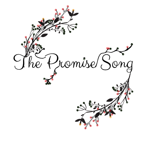 The Promise Song